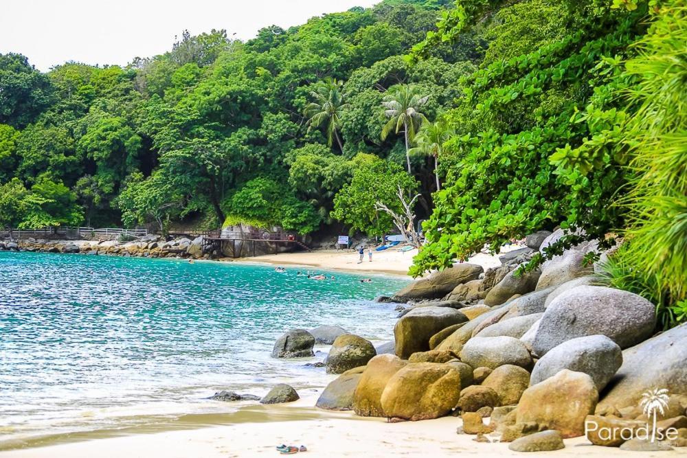 Paradise Beach Backpackers Hostel Patong Luaran gambar
